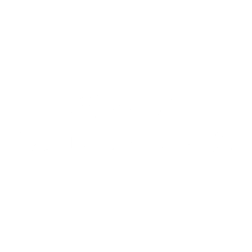 Saints Collection